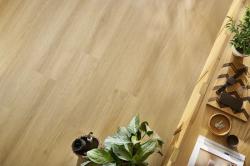 Arbiton Woodric CWA305 interier